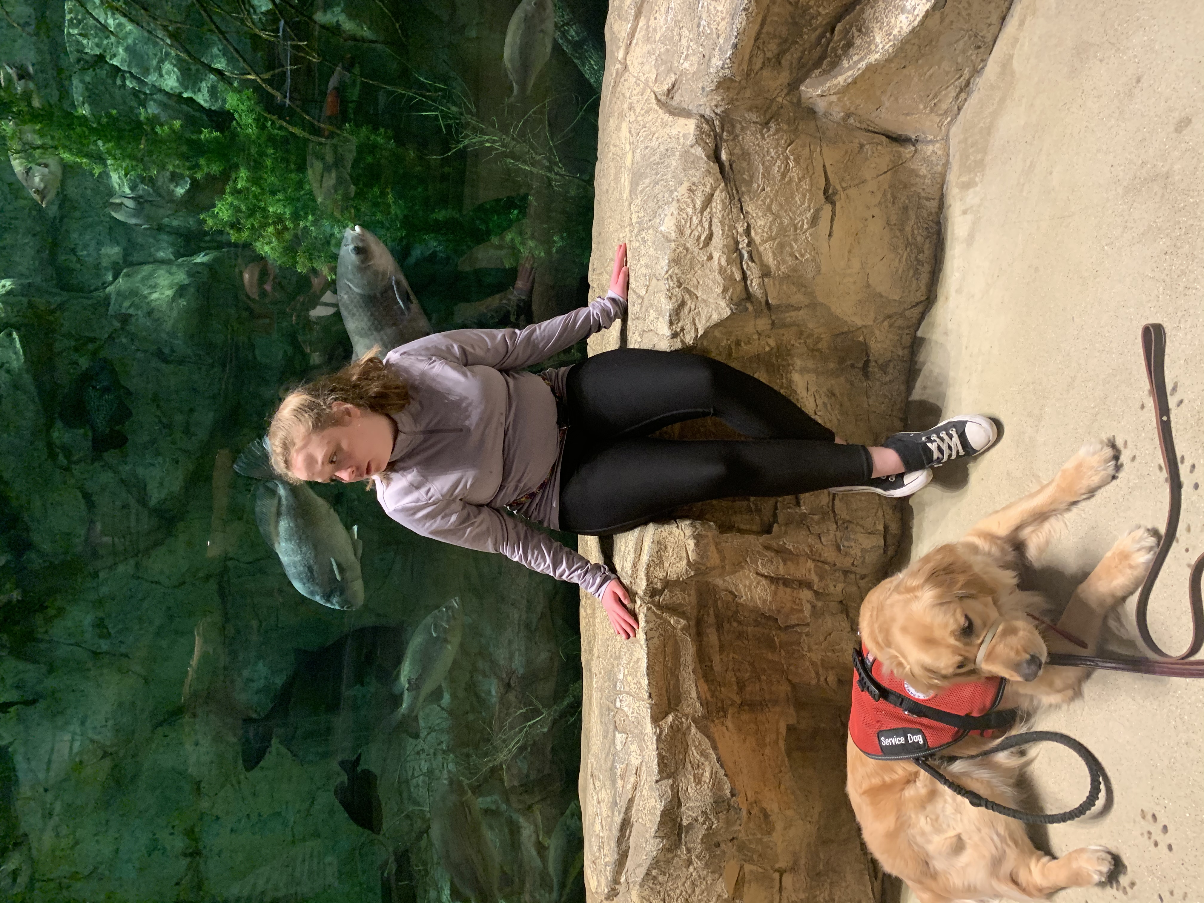 Girl in front of aquarium with service dog